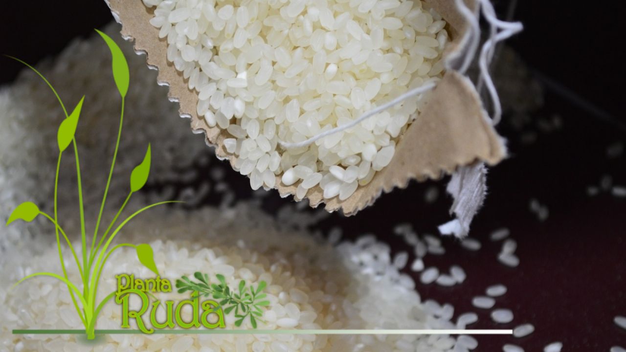 arroz verde de la suerte - Arroz Verde De La Suerte; Descubre su Poder