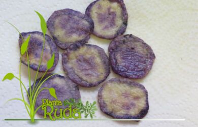 chips de raiz de 2 390x250 - Ra&iacute;z De V&aacute;ndalo (Ra&iacute;z De Valeriana); Usos y Beneficios