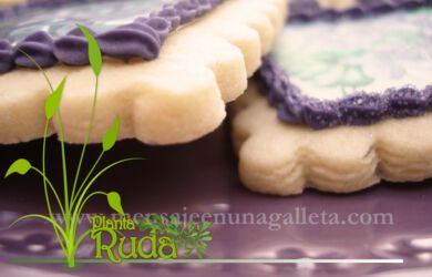 hoja de violeta entera usos 390x250 - Hoja De Violeta Entera; Usos y Beneficios