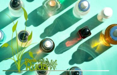 pachuli que debo saber 2 390x250 - Pachul&iacute;; Qu&eacute; debo saber