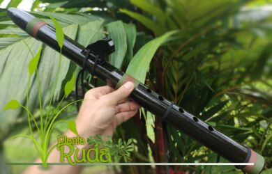 raiz de serpiente negra 390x250 - Ra&iacute;z De Serpiente Negra; Propiedades y Usos